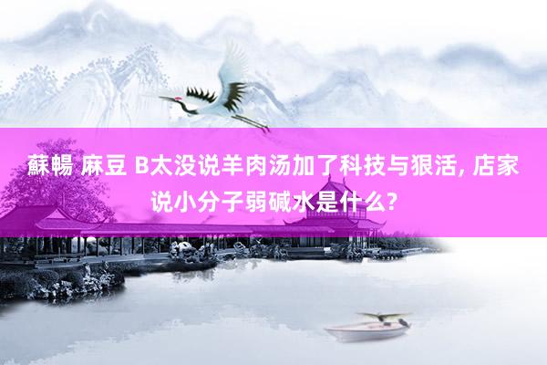 蘇暢 麻豆 B太没说羊肉汤加了科技与狠活, 店家说小分子弱碱水是什么?
