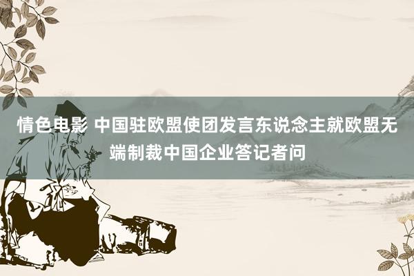 情色电影 中国驻欧盟使团发言东说念主就欧盟无端制裁中国企业答记者问