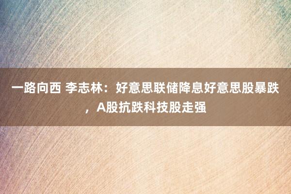 一路向西 李志林：好意思联储降息好意思股暴跌，A股抗跌科技股走强
