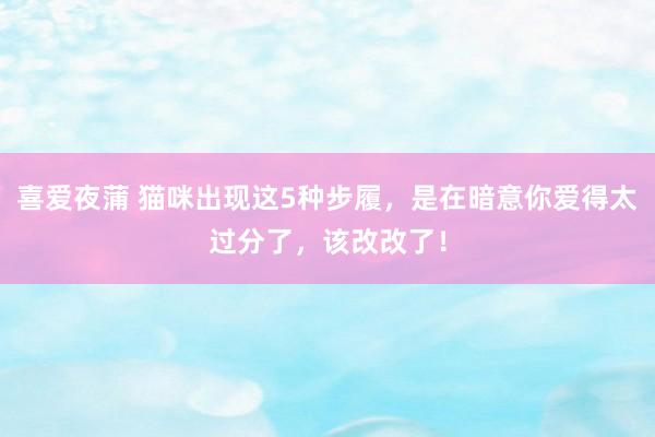 喜爱夜蒲 猫咪出现这5种步履,是在暗意你爱得太过分了,该改改了!