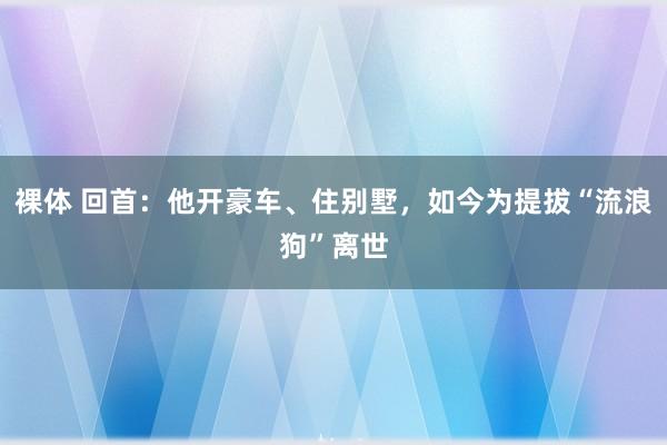 裸体 回首:他开豪车、住别墅,如今为提拔“流浪狗”离世