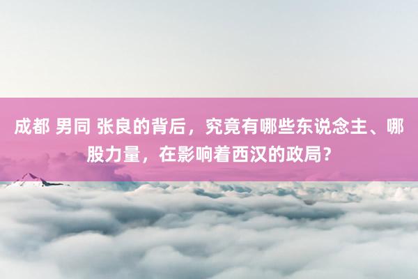 成都 男同 张良的背后,究竟有哪些东说念主、哪股力量,在影响着西汉的政局?