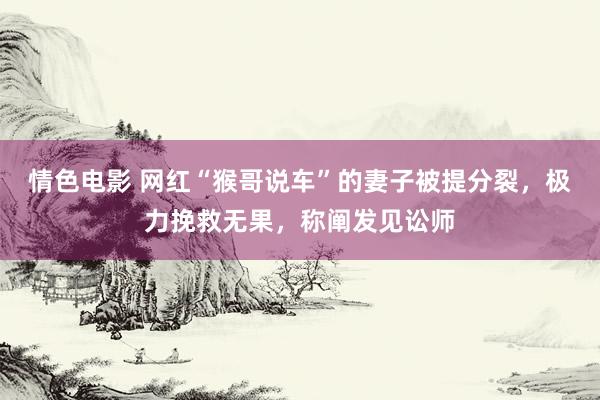 情色电影 网红“猴哥说车”的妻子被提分裂，极力挽救无果，称阐发见讼师