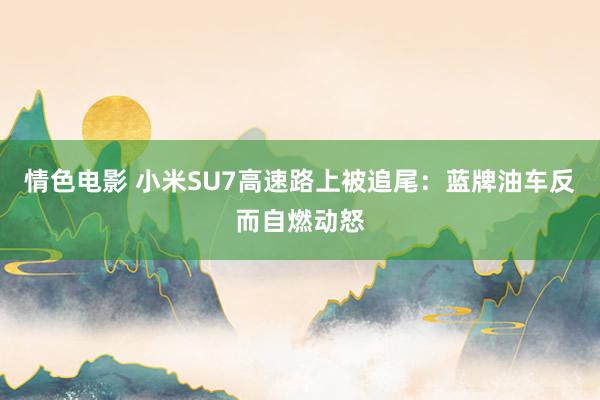 情色电影 小米SU7高速路上被追尾:蓝牌油车反而自燃动怒