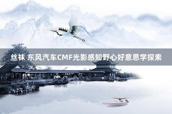 丝袜 东风汽车CMF光影感知野心好意思学探索