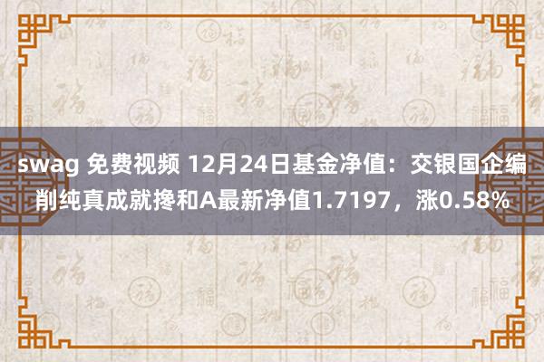 swag 免费视频 12月24日基金净值：交银国企编削纯真成就搀和A最新净值1.7197，涨0.58%