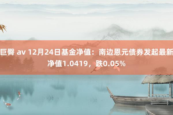 巨臀 av 12月24日基金净值：南边恩元债券发起最新净值1.0419，跌0.05%