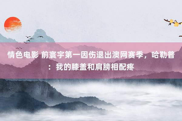 情色电影 前寰宇第一因伤退出澳网赛季,哈勒普:我的膝盖和肩膀相配疼