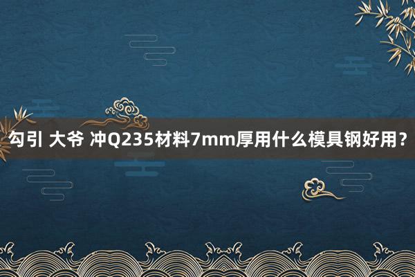 勾引 大爷 冲Q235材料7mm厚用什么模具钢好用?