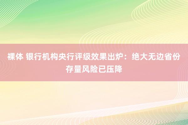 裸体 银行机构央行评级效果出炉：绝大无边省份存量风险已压降
