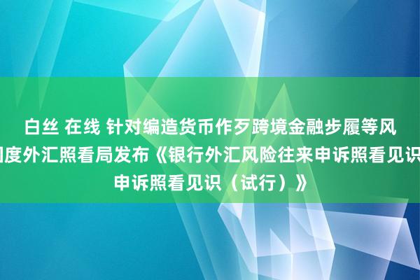 白丝 在线 针对编造货币作歹跨境金融步履等风险往来！国度外汇照看局发布《银行外汇风险往来申诉照看见识（试行）》