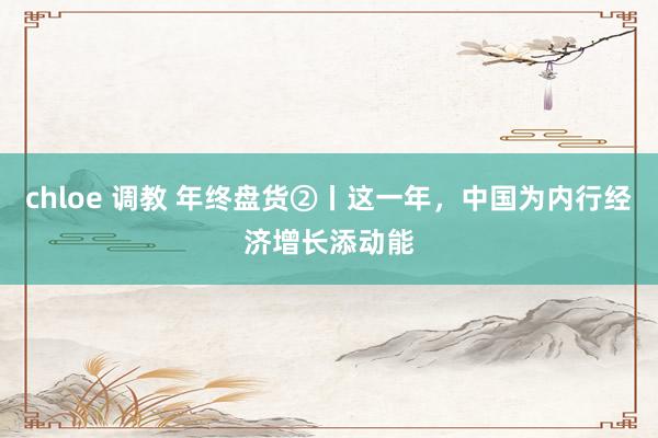 chloe 调教 年终盘货②丨这一年,中国为内行经济增长添动能