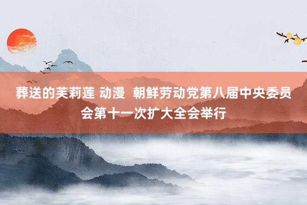 葬送的芙莉莲 动漫 朝鲜劳动党第八届中央委员会第十一次扩大全会举行