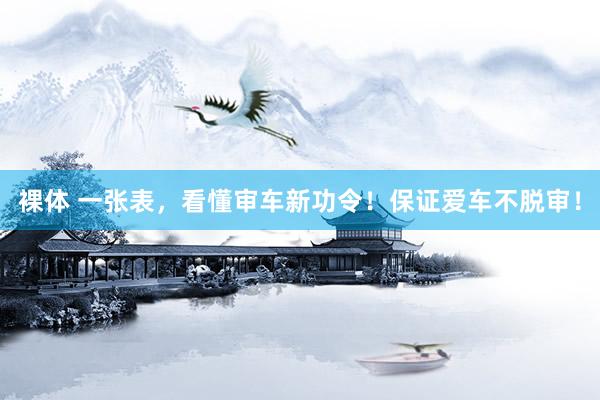 裸体 一张表，看懂审车新功令！保证爱车不脱审！