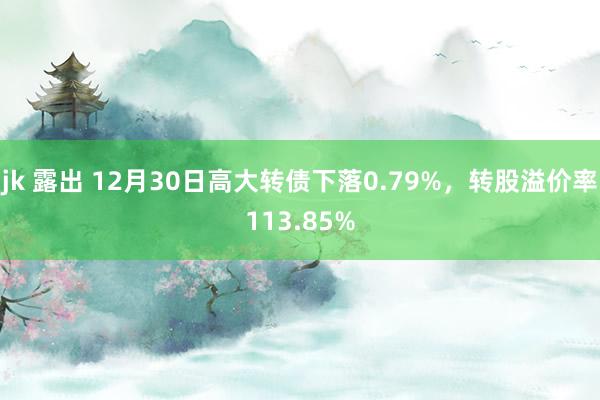 jk 露出 12月30日高大转债下落0.79%，转股溢价率113.85%