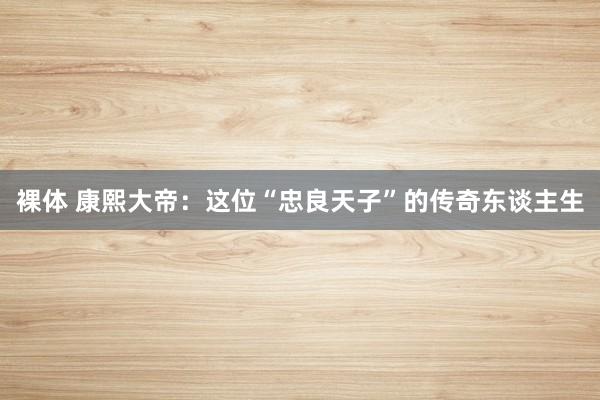 裸体 康熙大帝:这位“忠良天子”的传奇东谈主生