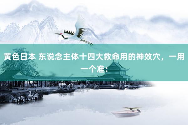 黄色日本 东说念主体十四大救命用的神效穴,一用一个准: