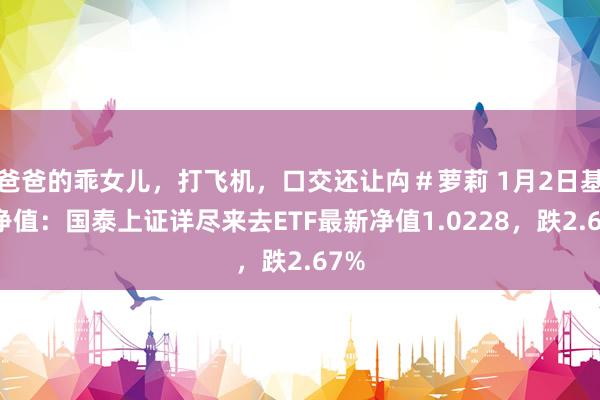 爸爸的乖女儿,打飞机,口交还让禸#萝莉 1月2日基金净值:国泰上证详尽来去ETF最新净值1.0228,跌2.67%
