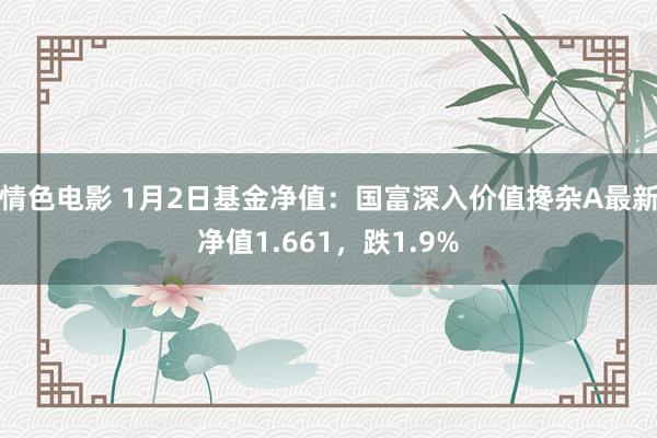 情色电影 1月2日基金净值:国富深入价值搀杂A最新净值1.661,跌1.9%