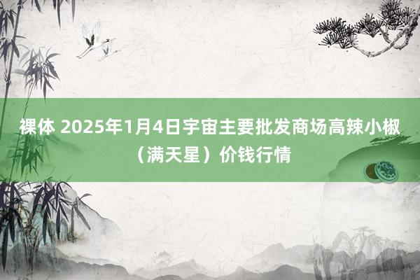 裸体 2025年1月4日宇宙主要批发商场高辣小椒(满天星)价钱行情