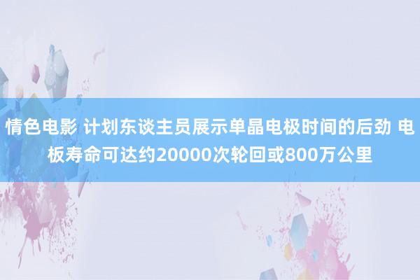 情色电影 计划东谈主员展示单晶电极时间的后劲 电板寿命可达约20000次轮回或800万公里