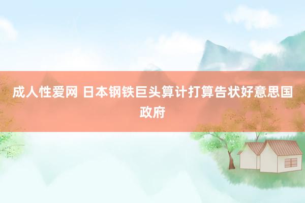 成人性爱网 日本钢铁巨头算计打算告状好意思国政府