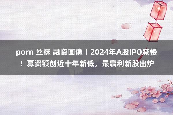 porn 丝袜 融资画像丨2024年A股IPO减慢!募资额创近十年新低,最赢利新股出炉