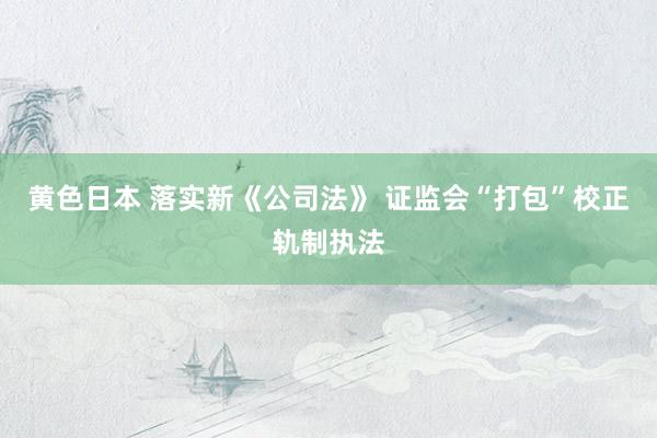 黄色日本 落实新《公司法》 证监会“打包”校正轨制执法