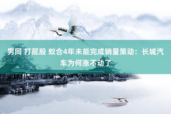 男同 打屁股 蚁合4年未能完成销量策动:长城汽车为何涨不动了