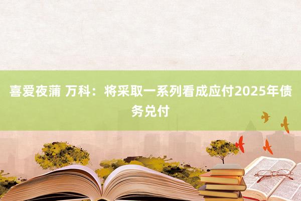 喜爱夜蒲 万科:将采取一系列看成应付2025年债务兑付