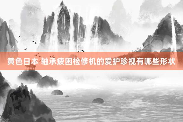 黄色日本 轴承疲困检修机的爱护珍视有哪些形状