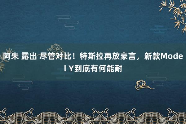阿朱 露出 尽管对比!特斯拉再放豪言,新款Model Y到底有何能耐