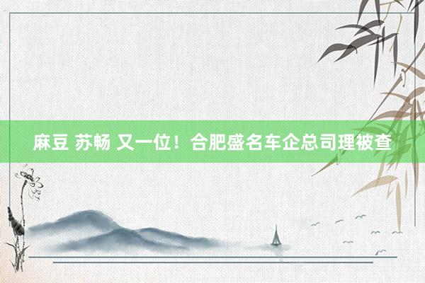 麻豆 苏畅 又一位!合肥盛名车企总司理被查