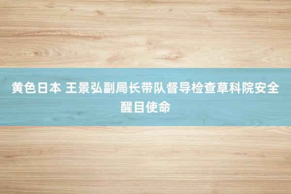 黄色日本 王景弘副局长带队督导检查草科院安全醒目使命