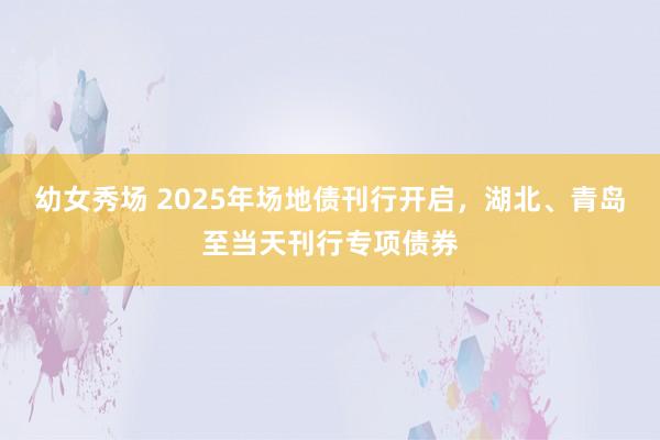 幼女秀场 2025年场地债刊行开启,湖北、青岛至当天刊行专项债券