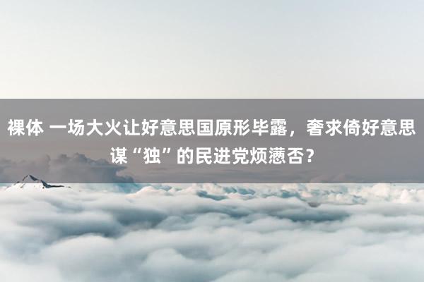 裸体 一场大火让好意思国原形毕露,奢求倚好意思谋“独”的民进党烦懑否?