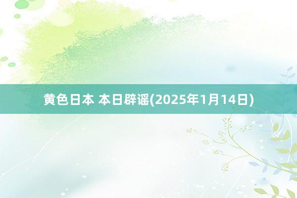 黄色日本 本日辟谣(2025年1月14日)
