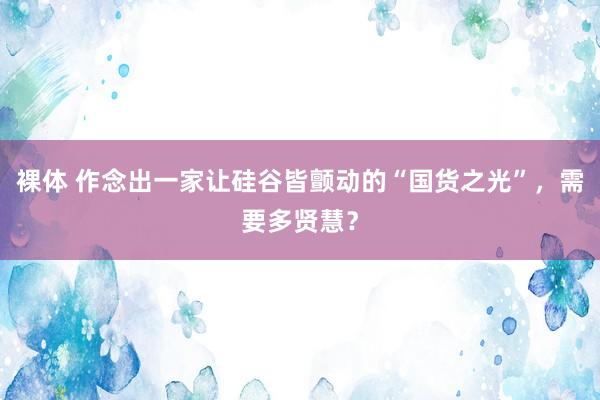 裸体 作念出一家让硅谷皆颤动的“国货之光”,需要多贤慧?