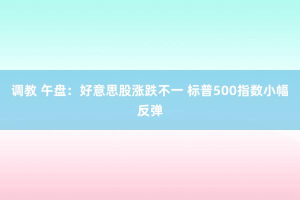 调教 午盘:好意思股涨跌不一 标普500指数小幅反弹