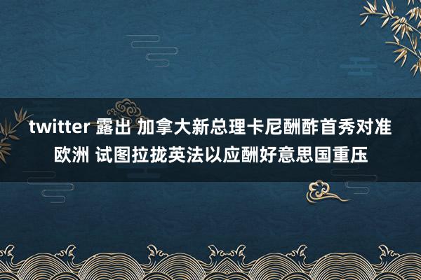 twitter 露出 加拿大新总理卡尼酬酢首秀对准欧洲 试图拉拢英法以应酬好意思国重压