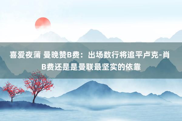 喜爱夜蒲 曼晚赞B费：出场数行将追平卢克-肖 B费还是是曼联最坚实的依靠