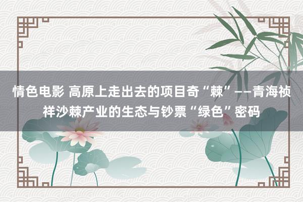 情色电影 高原上走出去的项目奇“棘”——青海祯祥沙棘产业的生态与钞票“绿色”密码