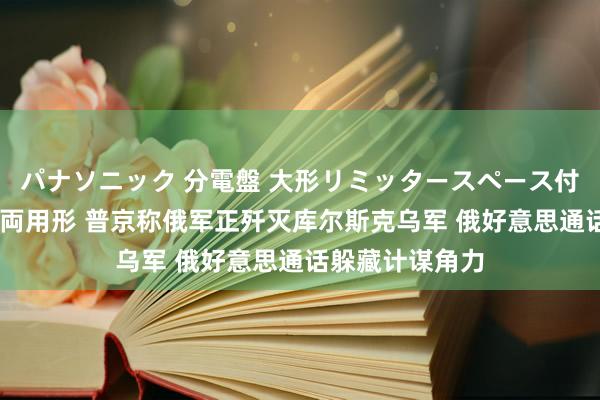 パナソニック 分電盤 大形リミッタースペース付 露出・半埋込両用形 普京称俄军正歼灭库尔斯克乌军 俄好意思通话躲藏计谋角力