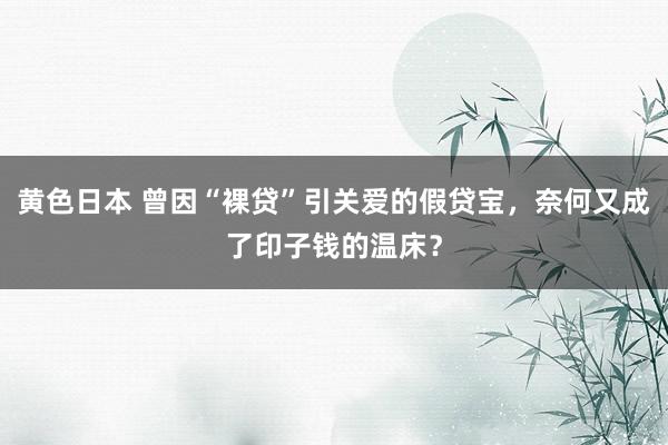 黄色日本 曾因“裸贷”引关爱的假贷宝，奈何又成了印子钱的温床？