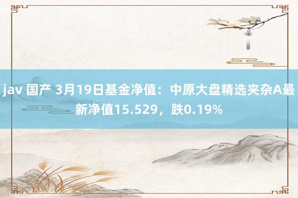 jav 国产 3月19日基金净值：中原大盘精选夹杂A最新净值15.529，跌0.19%