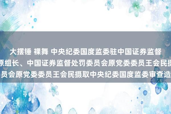 大摆锤 裸舞 中央纪委国度监委驻中国证券监督处罚委员会纪检监察组原组长、中国证券监督处罚委员会原党委委员王会民摄取中央纪委国度监委审查造访