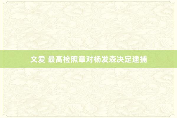 文爱 最高检照章对杨发森决定逮捕