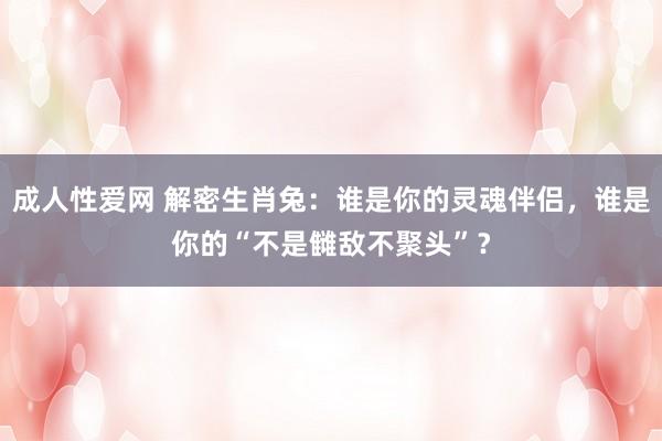 成人性爱网 解密生肖兔：谁是你的灵魂伴侣，谁是你的“不是雠敌不聚头”？