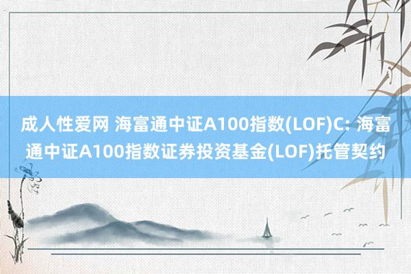 成人性爱网 海富通中证A100指数(LOF)C: 海富通中证A100指数证券投资基金(LOF)托管契约