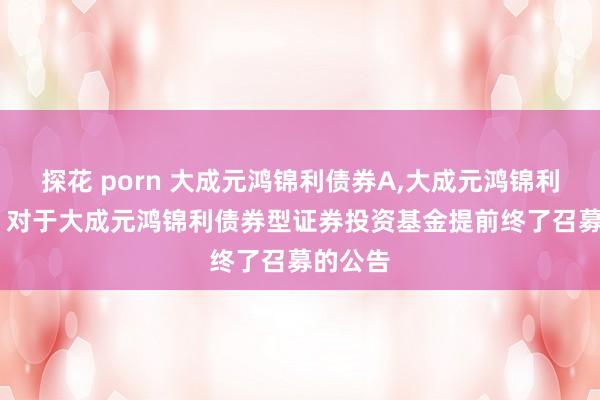 探花 porn 大成元鸿锦利债券A,大成元鸿锦利债券C: 对于大成元鸿锦利债券型证券投资基金提前终了召募的公告